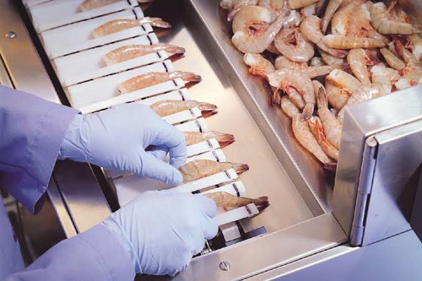 Image Featuring Shrimp Peeler In Sea Food Manufacturing Industry.